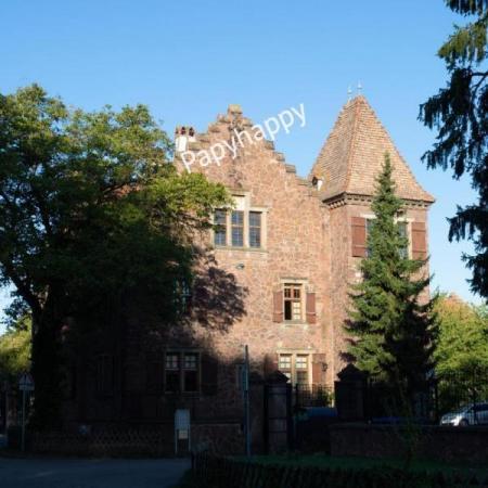 Résidence Le Pavillon Robertsau - STELLA (131/161)