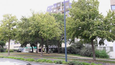 EHPAD CHR Hotel Dieu (6/6)