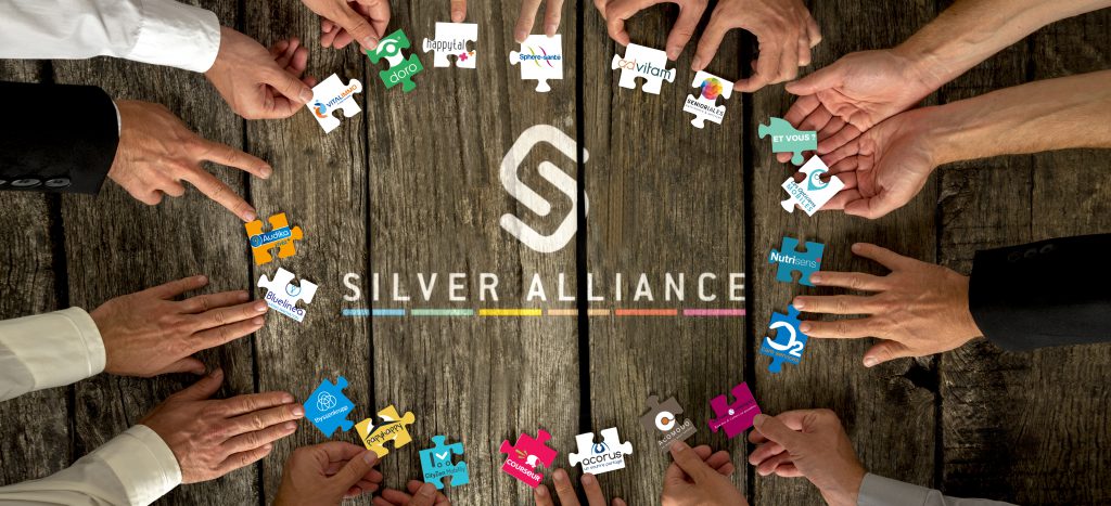 Puzzle Silver Alliance